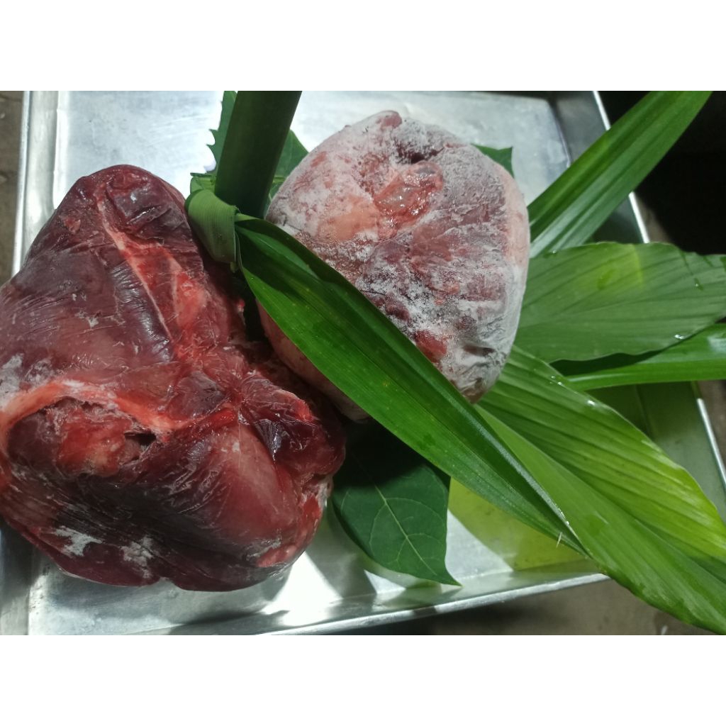 daging babi hutan cianjur