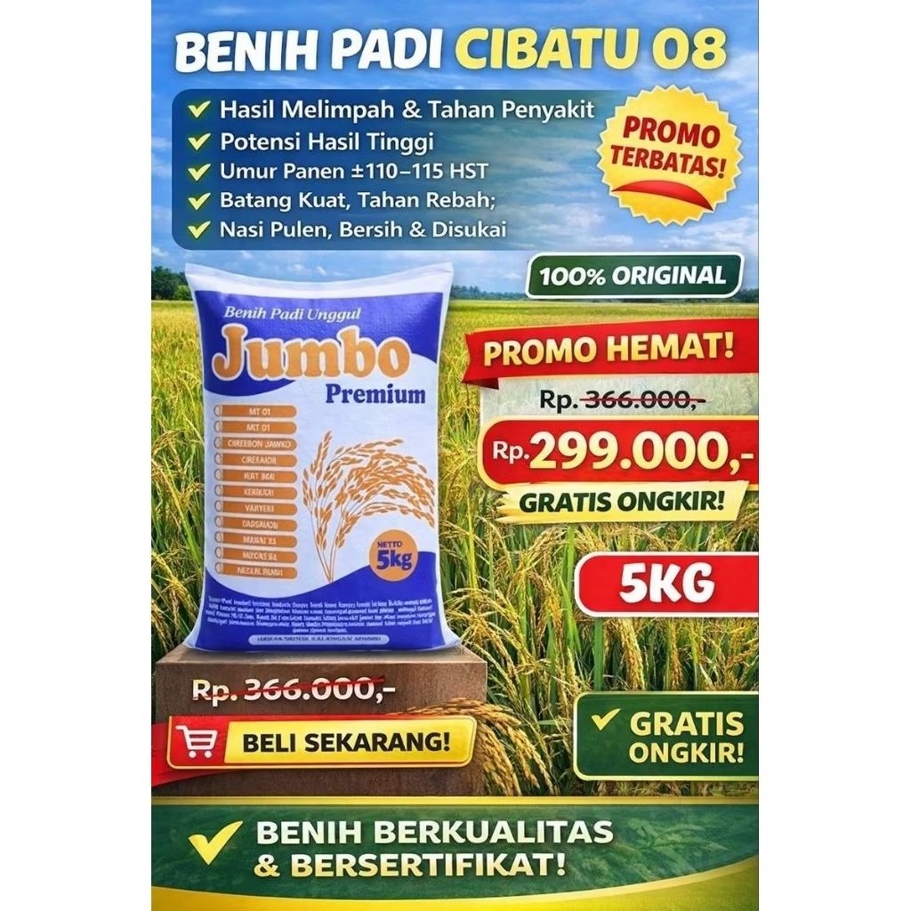 Benih Padi Super Cibatu 08 Original Premium 5kg Hasil Panen Melimpah & Tahan Hama 100% original