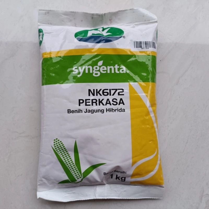 Bibit Benih JAGUNG HIBRIDA NK 6172 PERKASA 1KG #bibit jagung #jagung perkasa #bibit nk perkasa