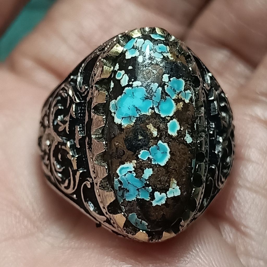 Pirus persia biru tosca ceplok lawas