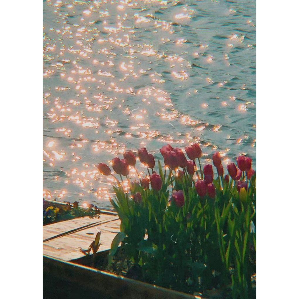 AXES FEMME, LIZ LIZA, TRALALA