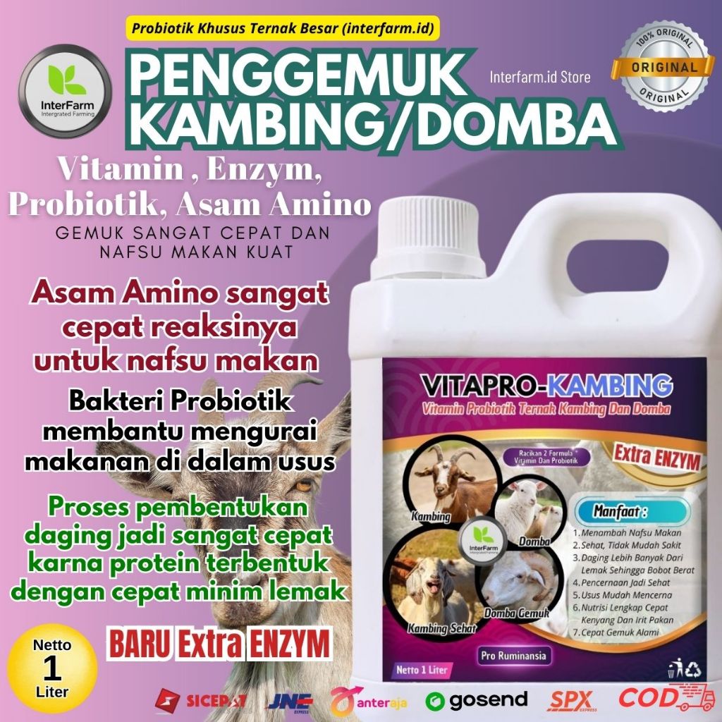 Obat penggemuk Kambing dan domba, Vitamin penggemuk Domba paling cepat, Probiotik penggemuk Kambing