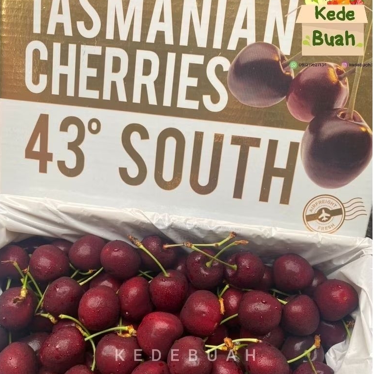 Cherry Tasmanian