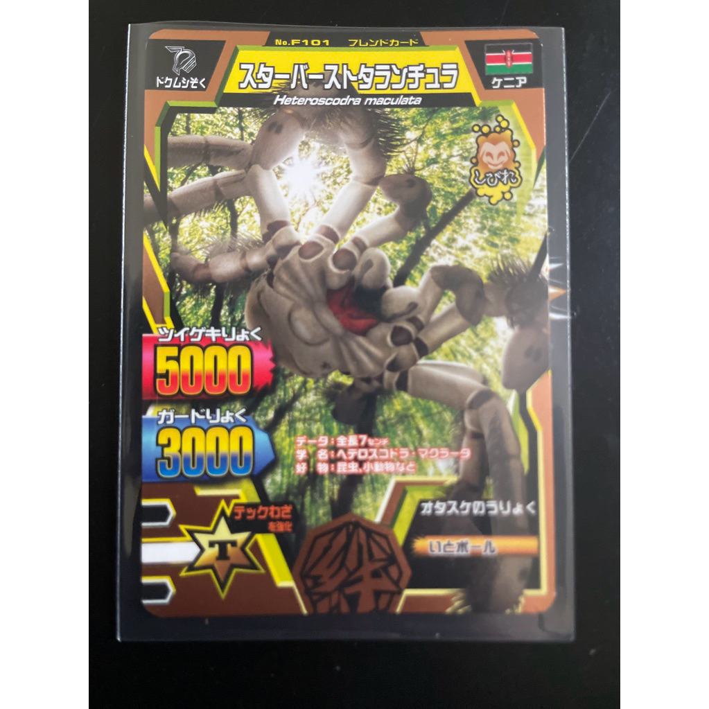 starburst tarantula friend card animal kaiser