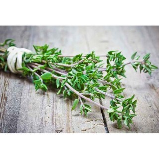 DAUN THYME ORGANIK SEGAR PER PACK