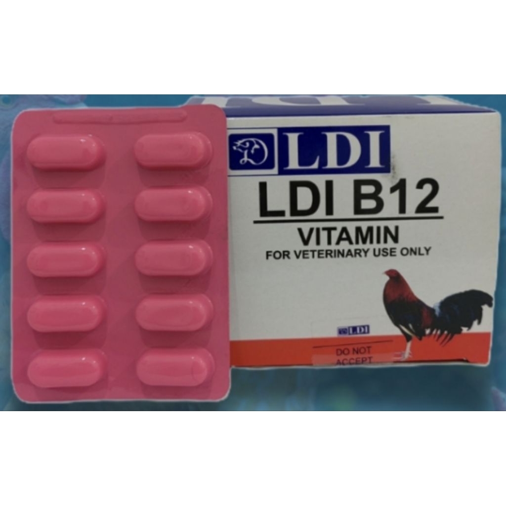 B12 LDI SUPLEMEN DOPING AYAM PHILLIPINS
