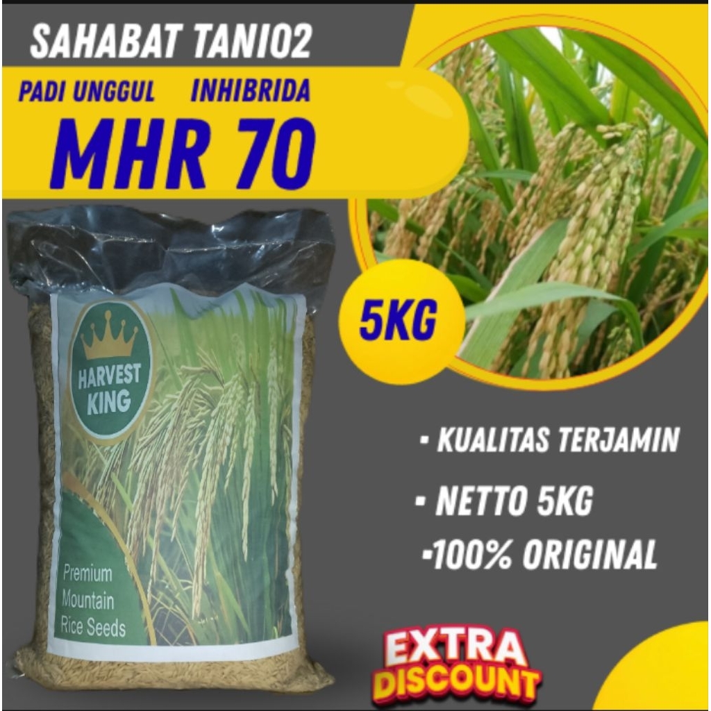 benih padi unggul MHR 70 hari benih padi umur 75 hari