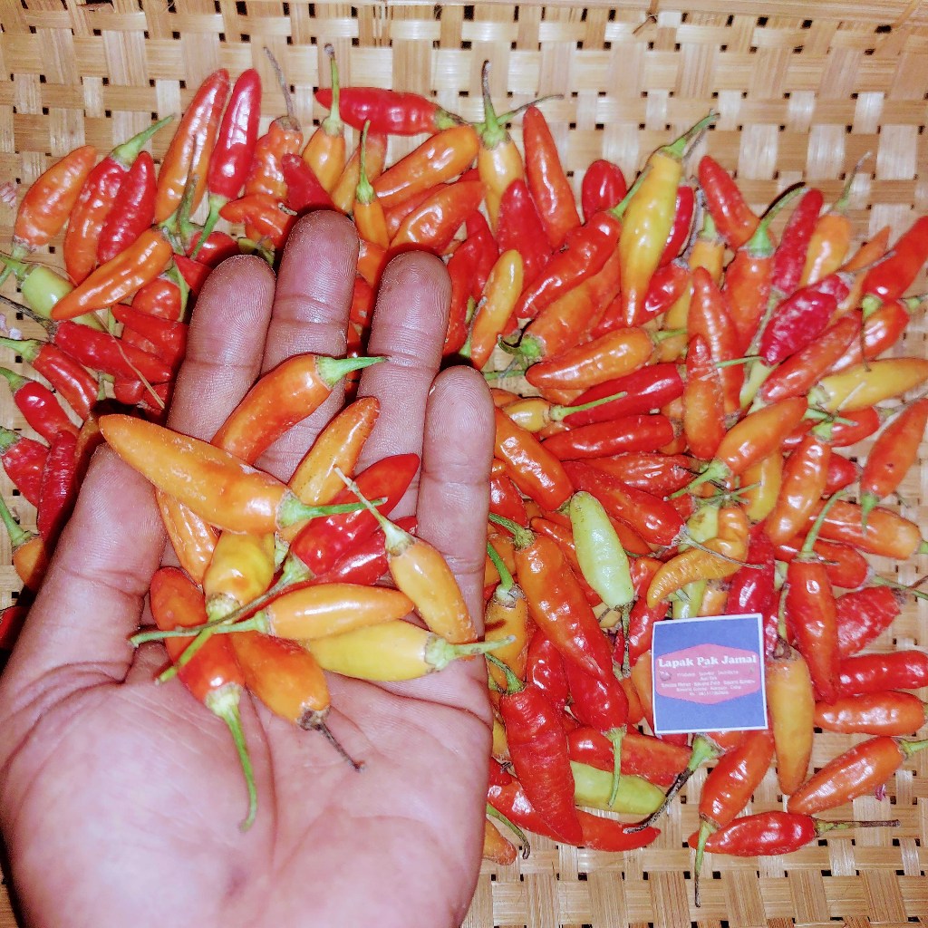 Cabai RAWIT MERAH - 1 Kg - Lapak Pak Jamal (LPJ) Fresh