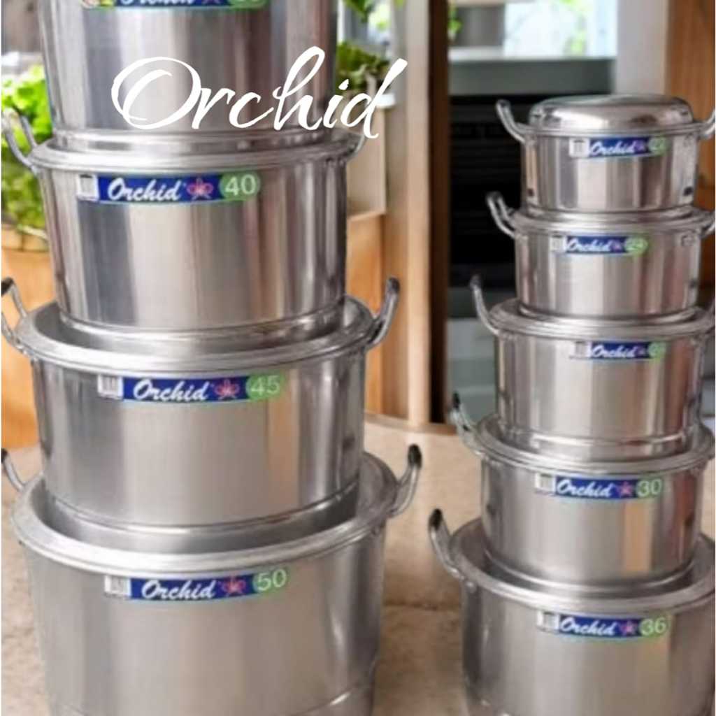 ( INSTANT ) PANCI KUKUSAN ORCHID / LANGSENG / DANDANG ORCHID 22 cm SAMPAI 60 cm