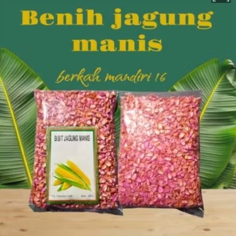 Benih Bibit jagung manis madu 350gram