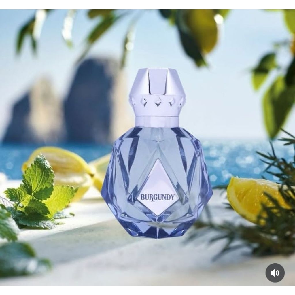 Bonjour Silver gem extrait de parfume 100ml