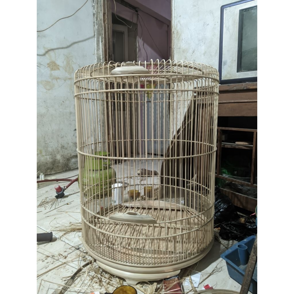 sangkar burung murai mentahan cembung ceper, free mahkota dan vareasi