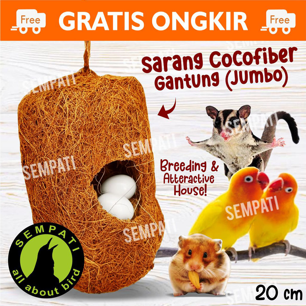 SEMPATI Sarang Burung Cocofiber Glodok Gantung Bentuk Kapsul Sarang Serat Kelapa Alami Susuh Tempat 