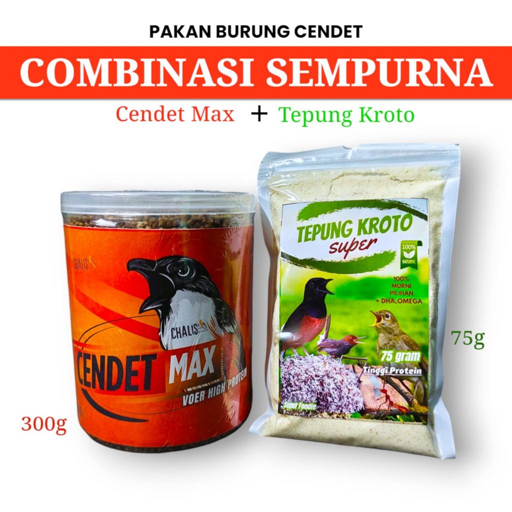 PAKAN BURUNG CENDET KOMBINASI SEMPURNA CENDET MAX PLUS TEPUNG KROTO 75GR DI JAMIN GACOR