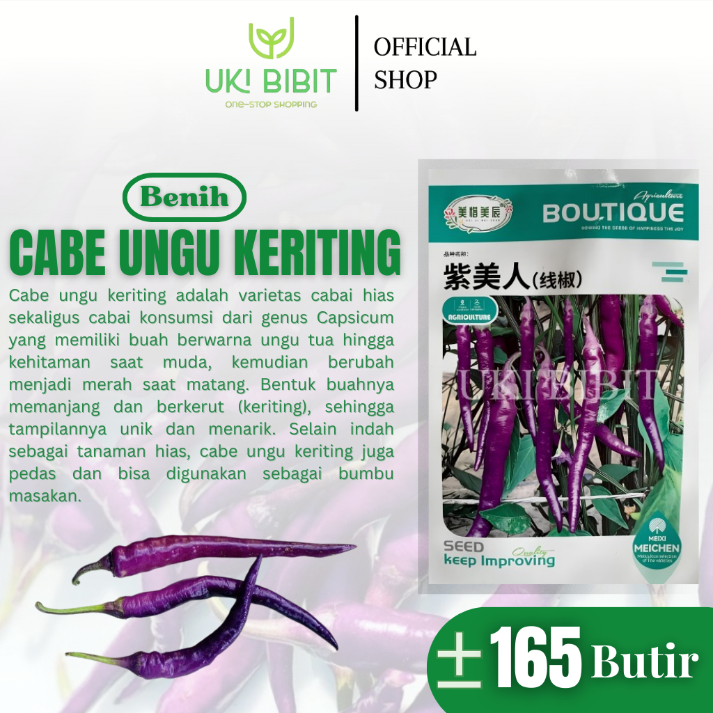 Kemasan Original | Benih Biji Cabe Ungu Keriting | Cabai Ungu | Cabe Ungu | Purple Pepperr
