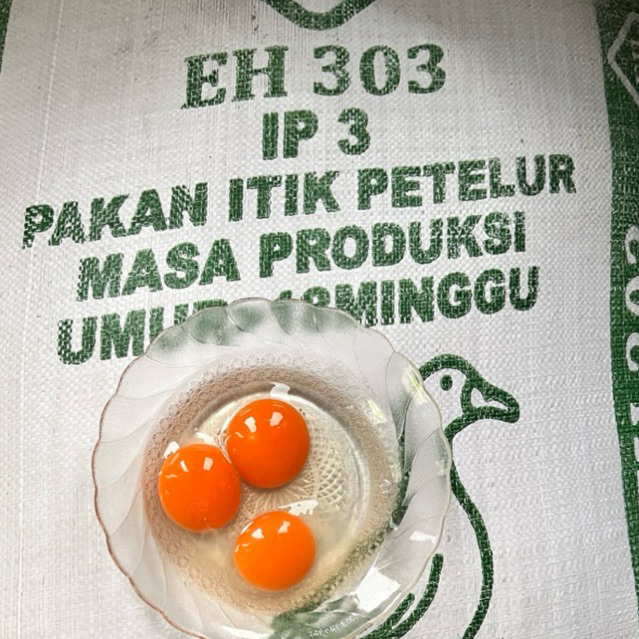 PAKAN JADI PUR BEBEK ITIK PETELUR EH 303 REPACK 1kg