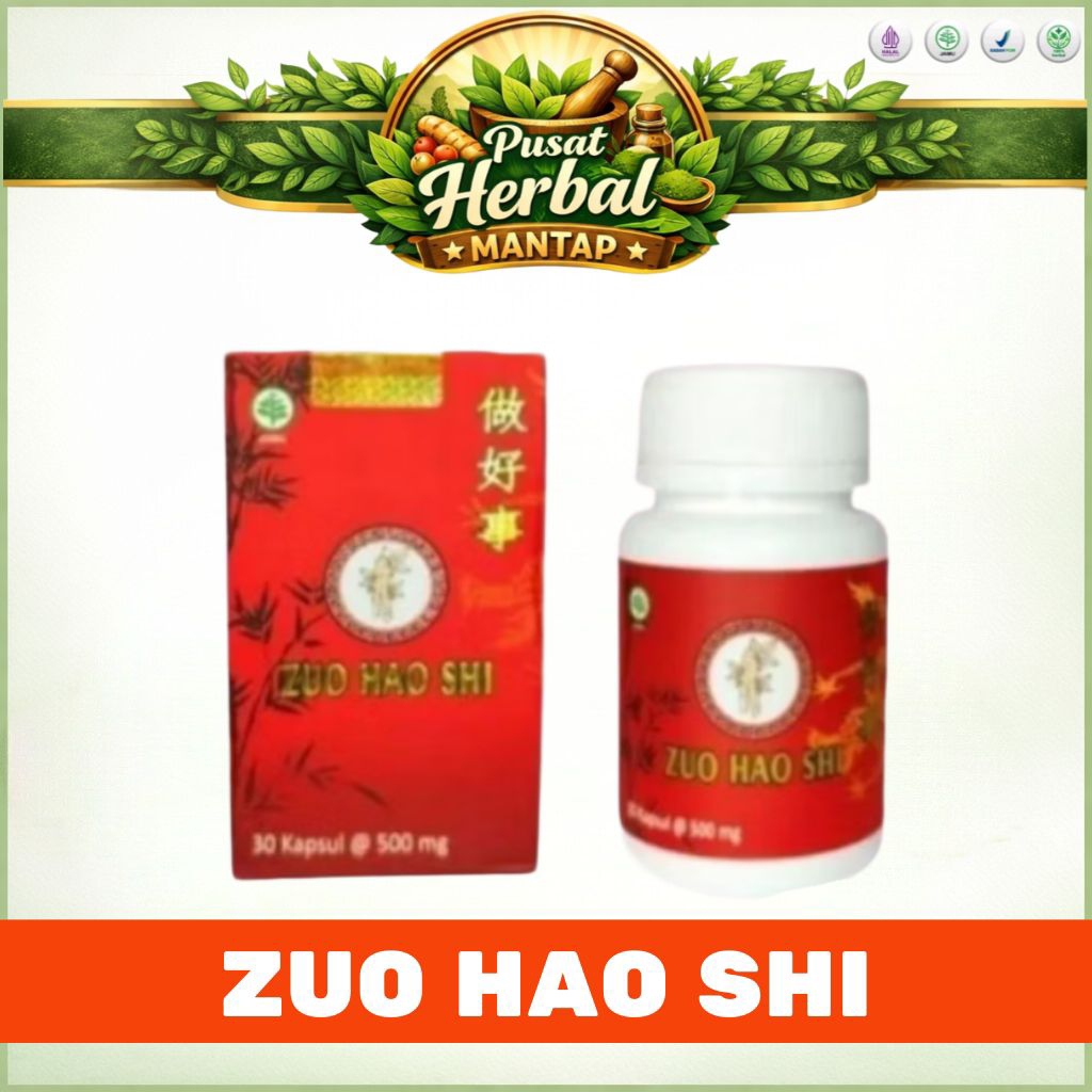 Zuo Hao Shi - Obat Cina Herbal  Saraf kejepit - 2 pcs