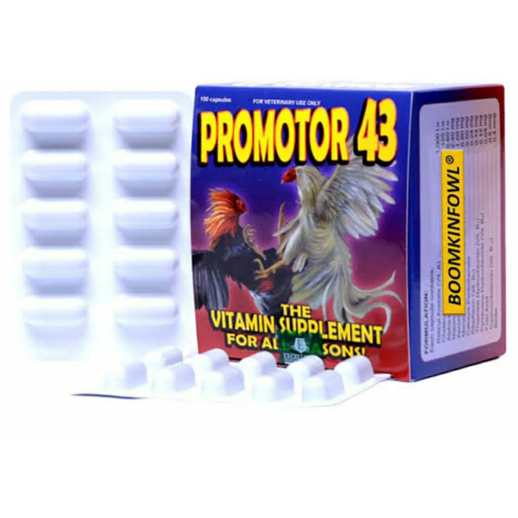 Promotor 43 vitamin ayam import stamina otot daya tahan tubuh