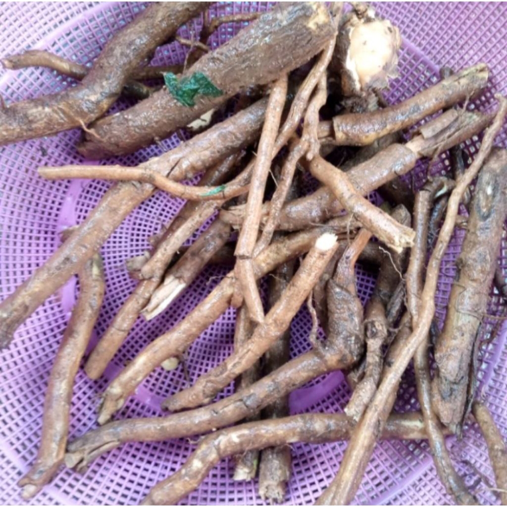 akar srigunggu untuk gurah herbal 500gr