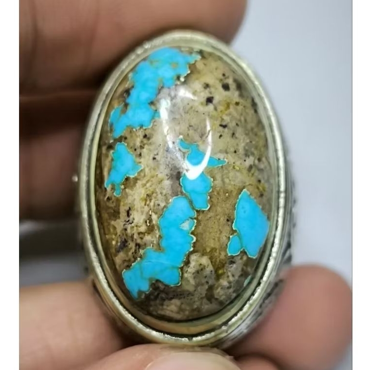 Pirus Persia Biru Fancy