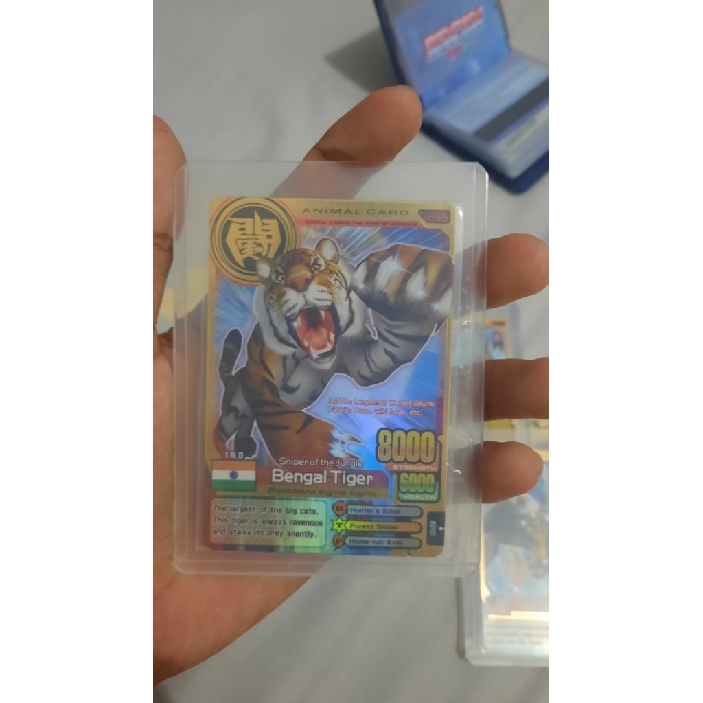 bengal tiger kartu animal kaiser plus