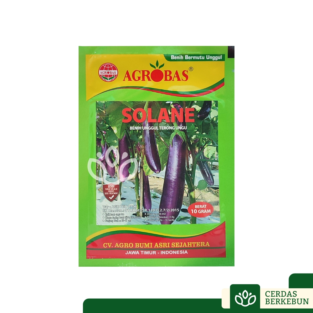 Agrobas Solane Benih Unggul Terong Ungu 10gr