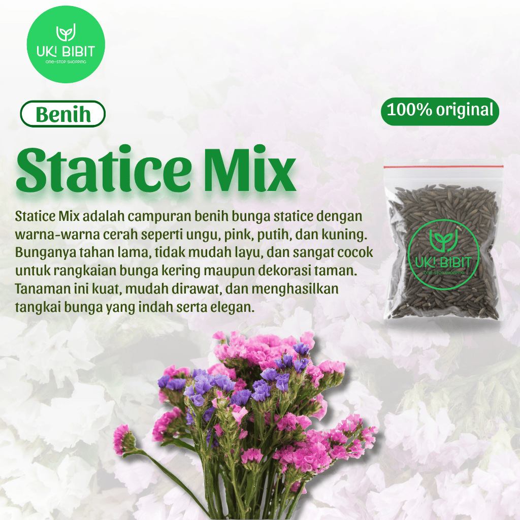 ( 100 Butir ) Benih Biji Bunga Statice Mix | Statice Flower | Limonium Statice Mix