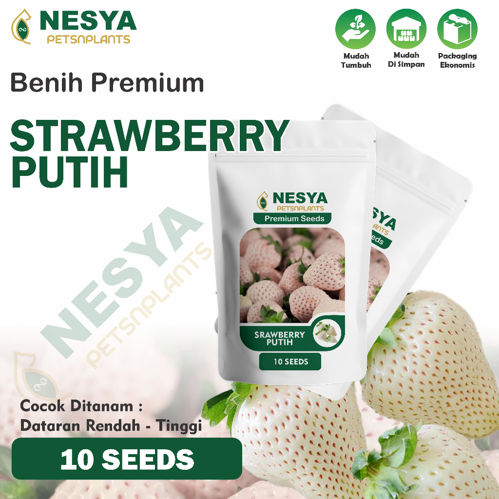 10 Biji Benih Strawberry Putih Buah Strawberry Putih