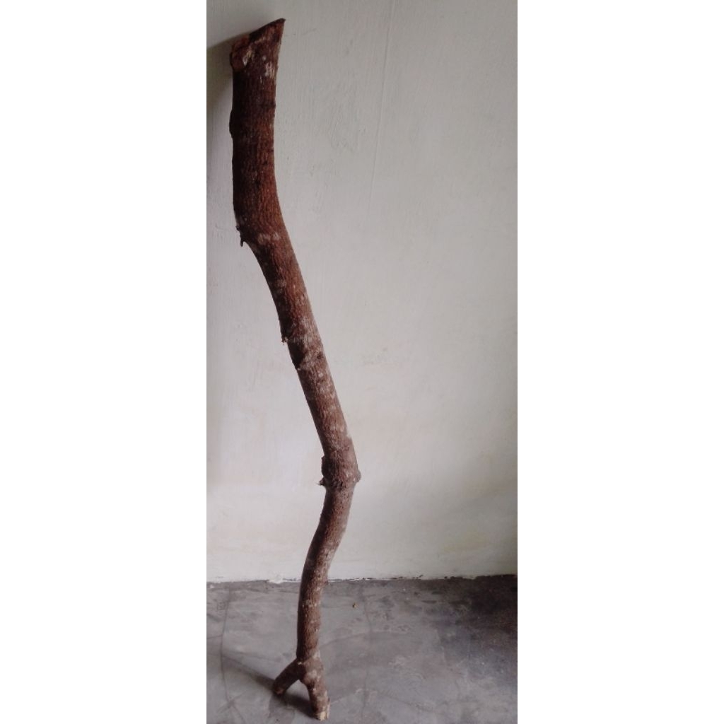 Bahan Tongkat Kayu Cendana Original