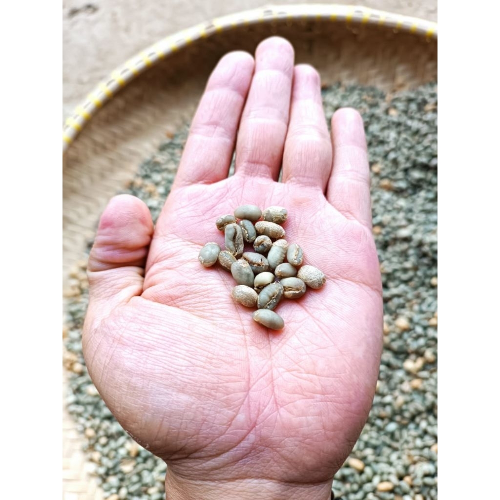 GREEN BEAN (GB) PEABERYY/KOPI LANANG arabika papandayan (STOCK TERBATAS)
