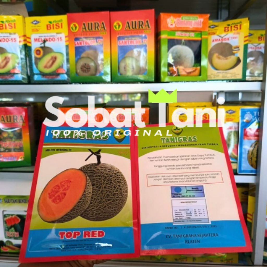 Benih Melon TOP RED daging Oren isi ±500 biji ORIGINAL TANIGRAS