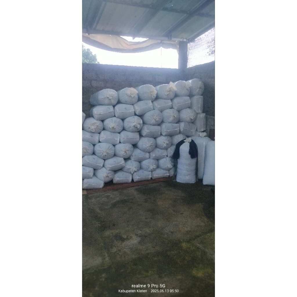 Silase Tebon jagung manis kemasan 25kg