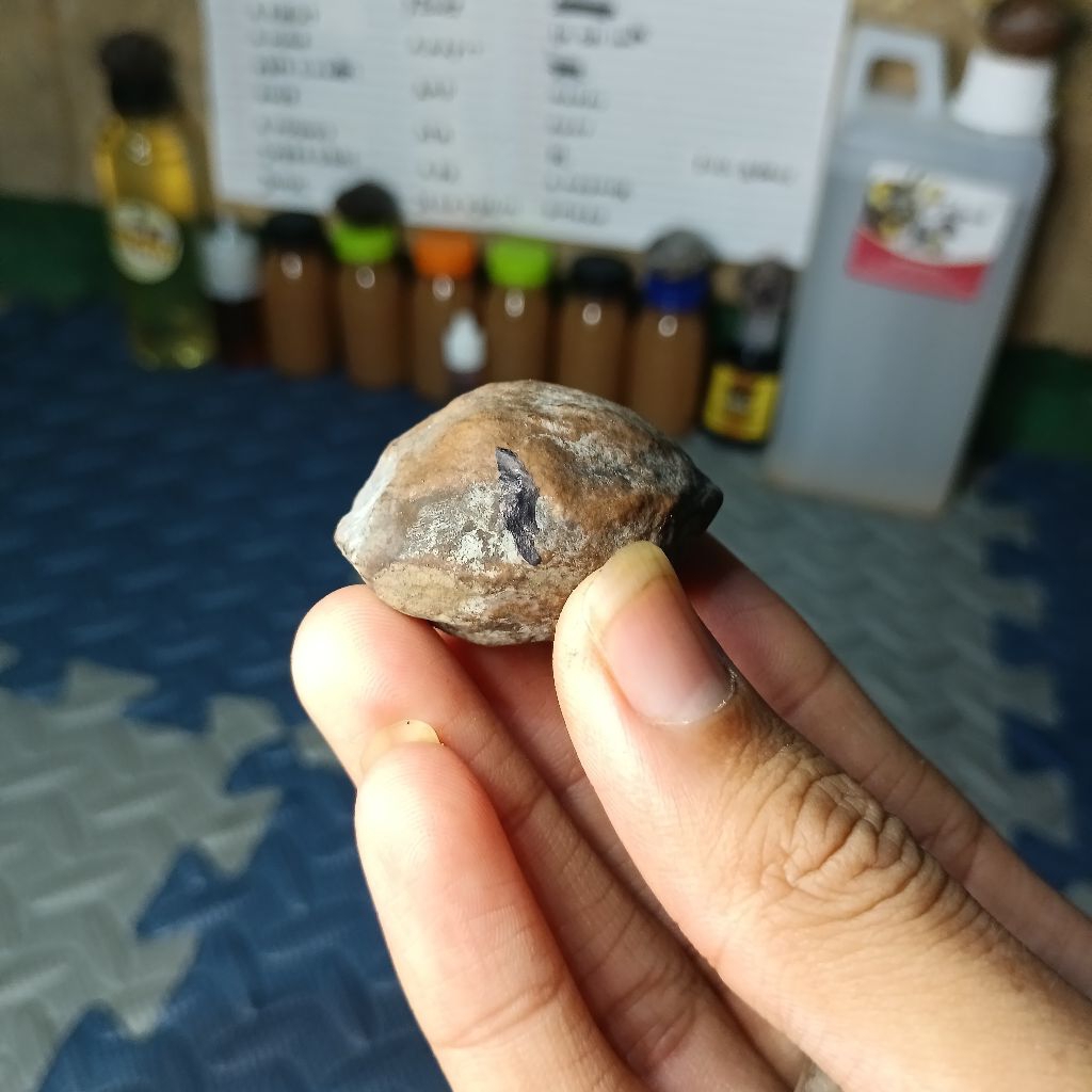 muncang adu jamal ( Jawa malangbong) full cuka