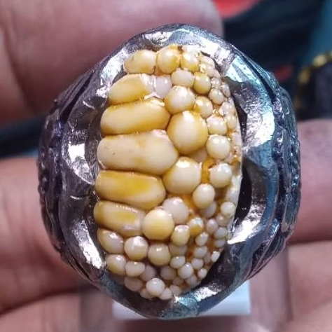 Batu Jipen Sisik Ular Ngerikil