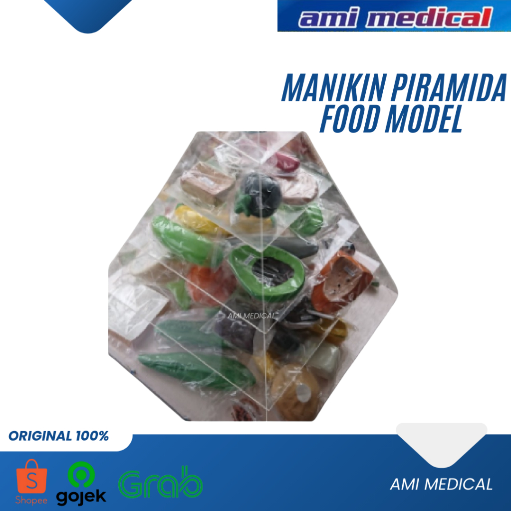 AMI MEDICAL PIRAMIDA FOOD MODEL GIZI SEIMBANG