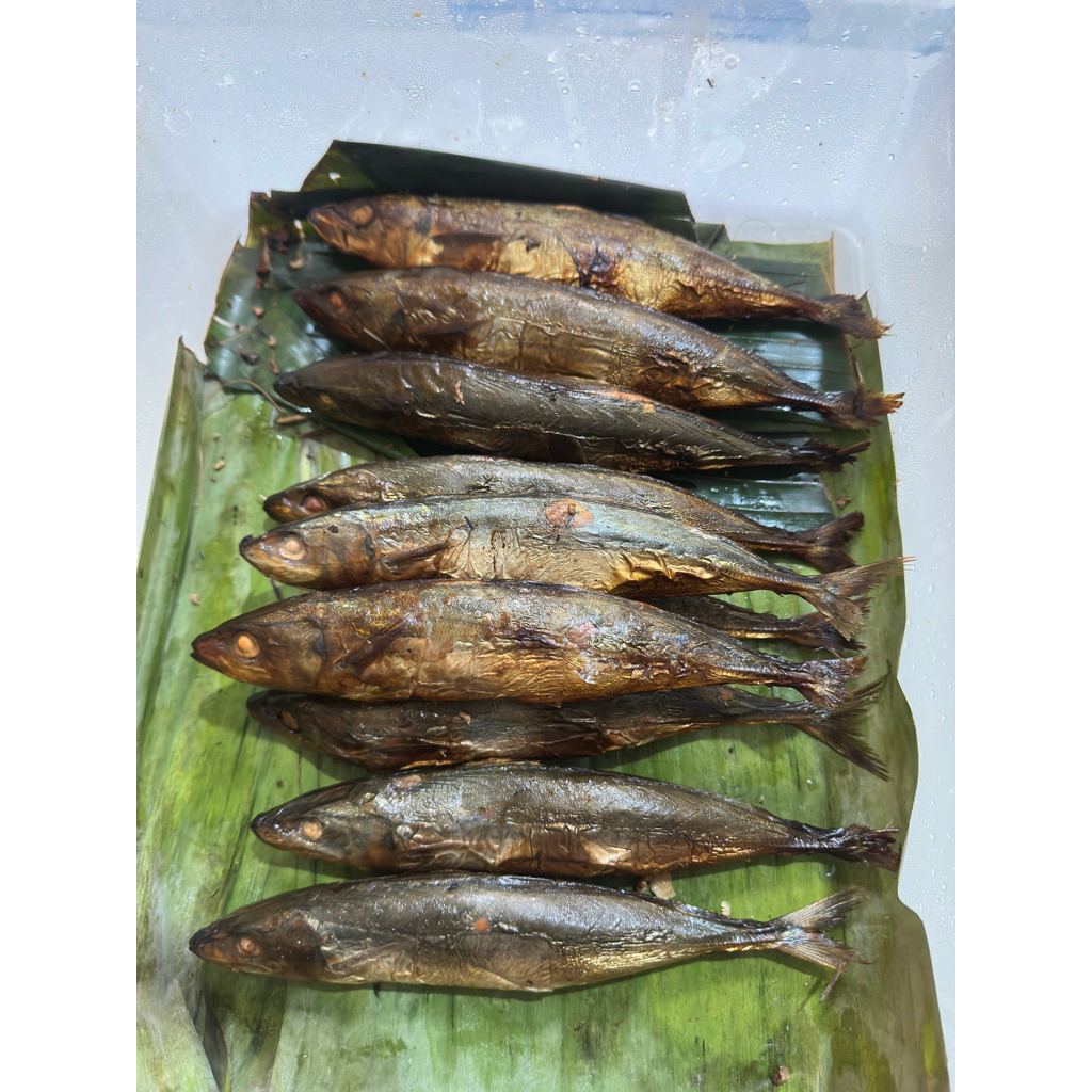 ikan asap layang pemiun size besar atau sedang / panggang layang / layang asap