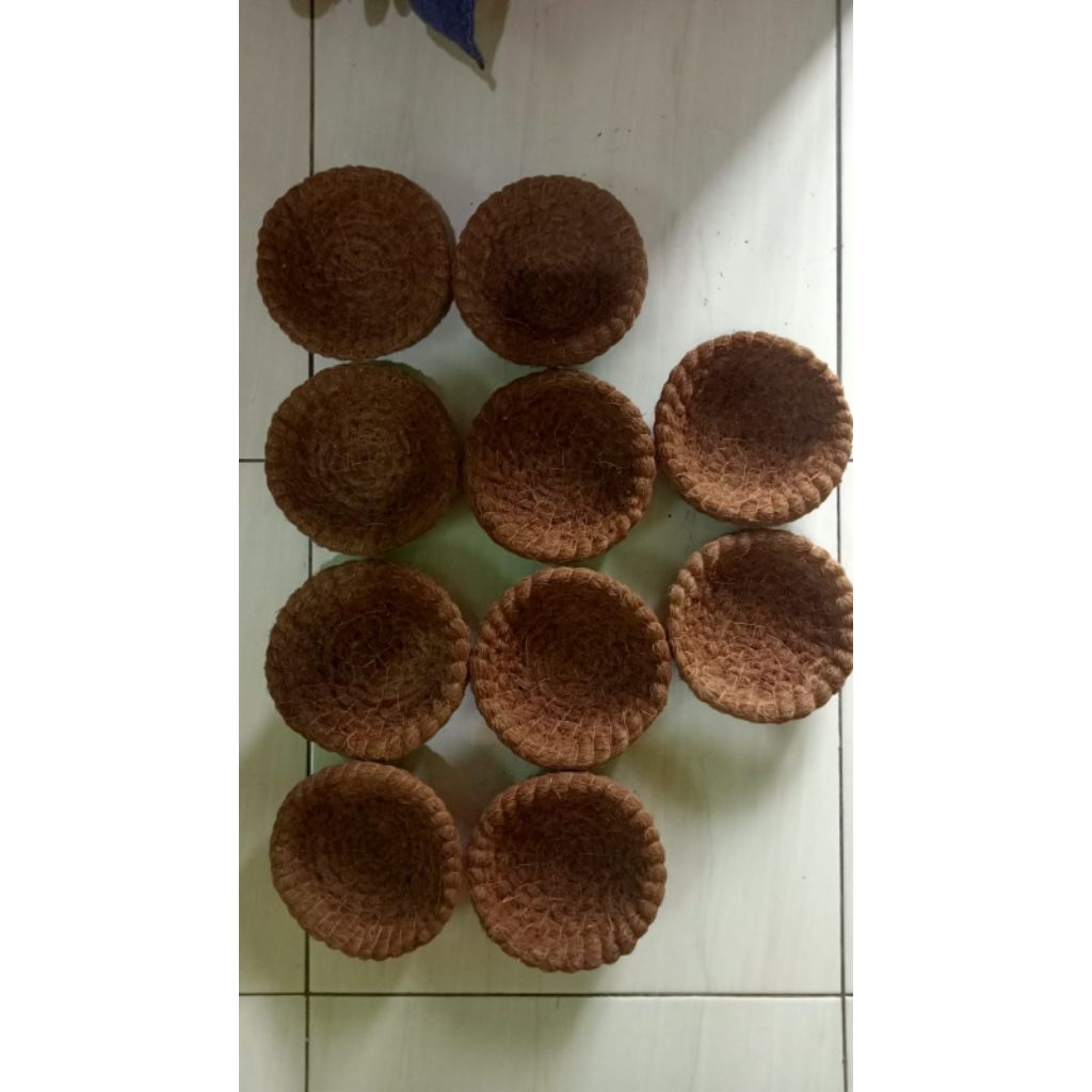 sarang burung perkutut