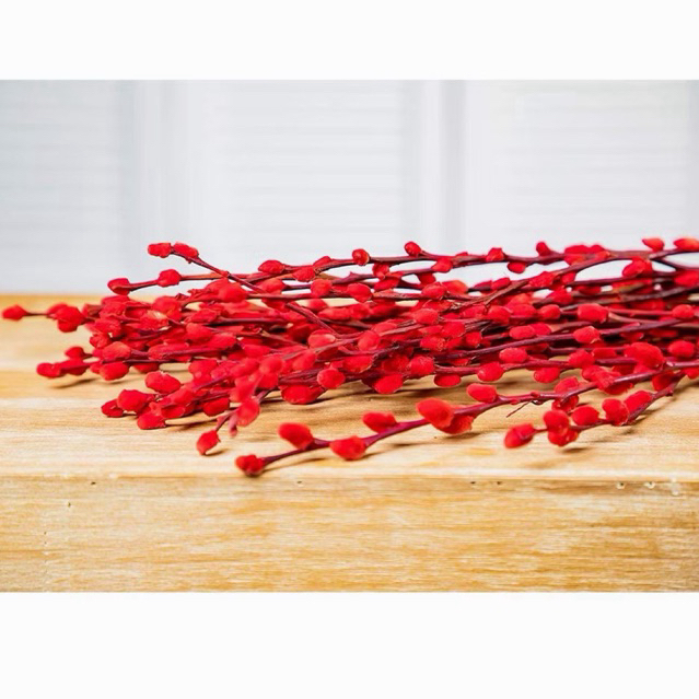 Bunga imlek Flower Willow 1 batang | imlek Willow Kering