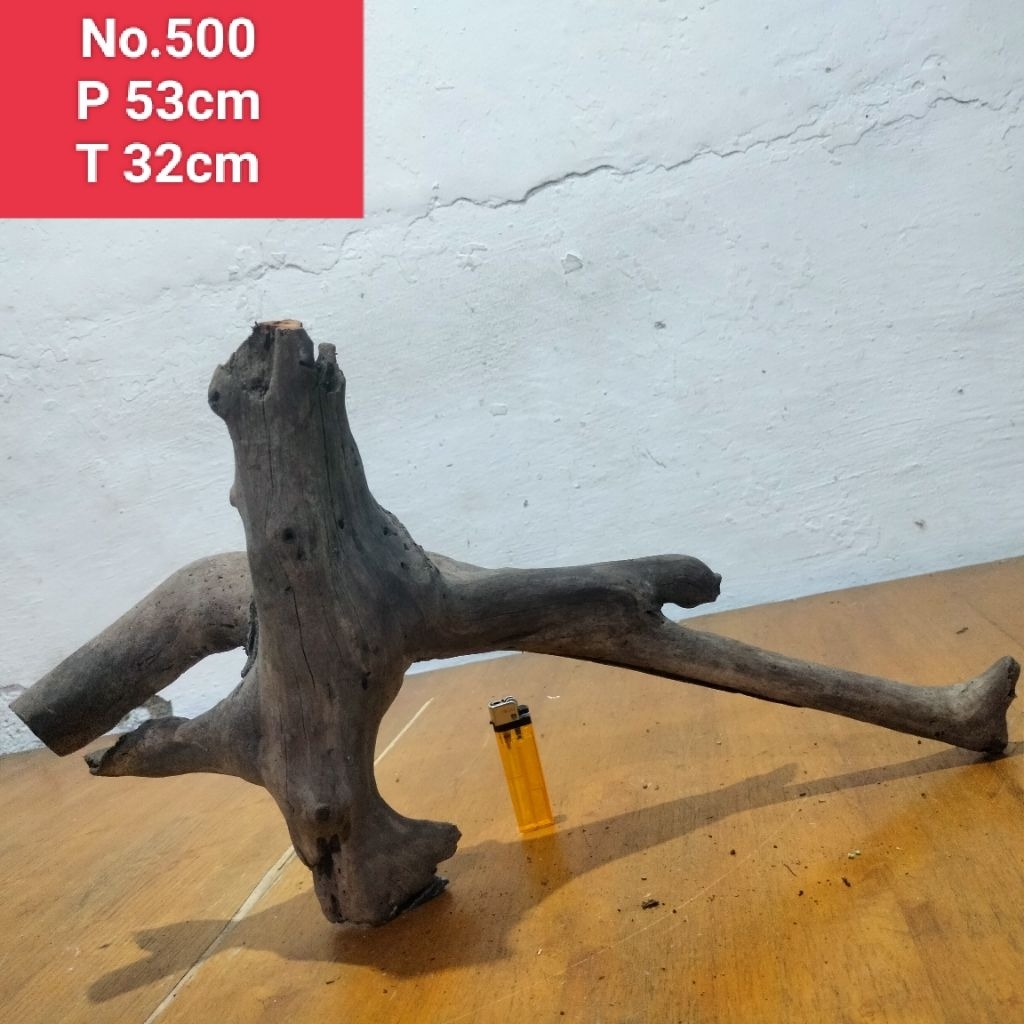 akar santigi laut kayu santigi laut akar dekorasi aquarium aquascape 500