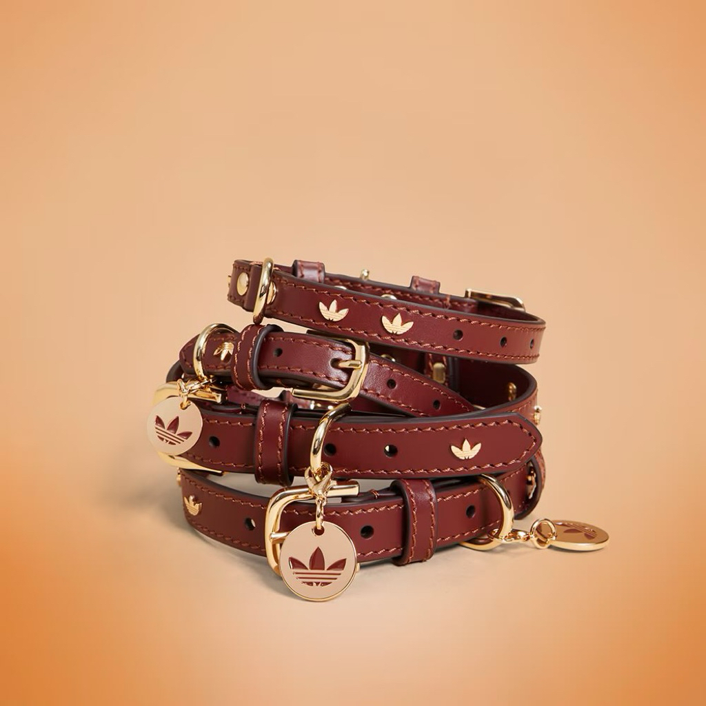 Adidas Pet Collar Exclusive