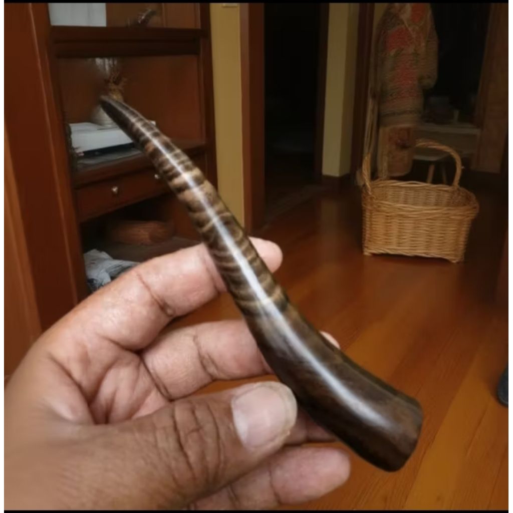 Once pipa cangklong kayu kalimosodo lengkung