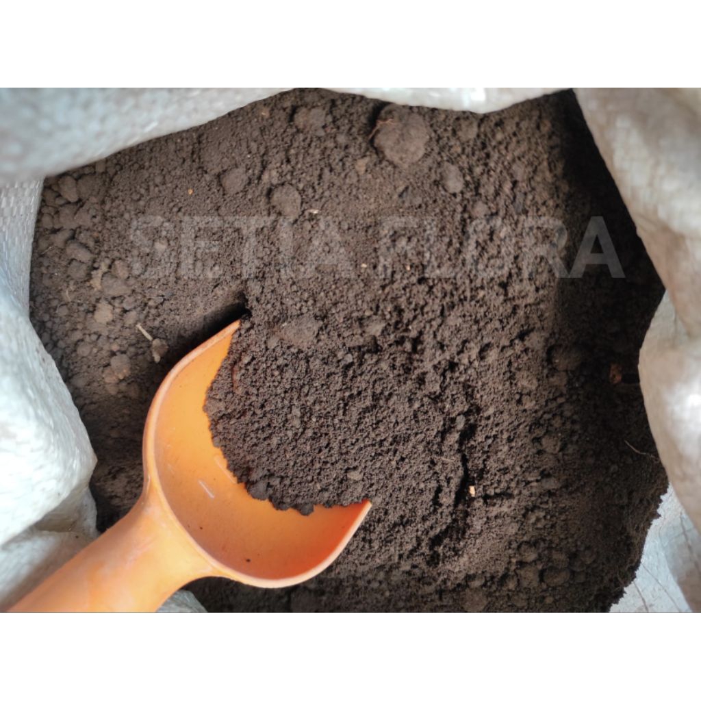 Media Tanam  Tanah Lembang Murni Karungan