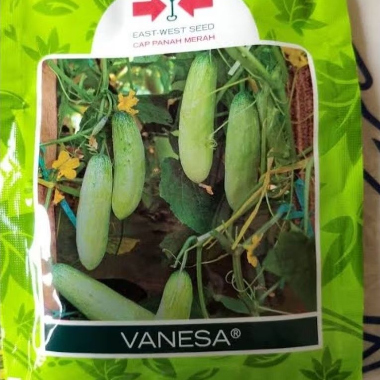 Timun Vanesa SP Mentimun Vanesa Panah Merah