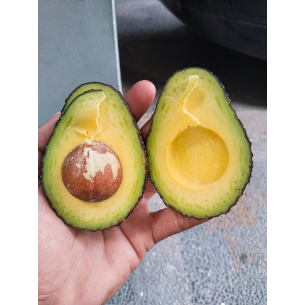 Alpukat Hass /Alpukat Hass Premium /Alpukat Murah Berkualitas 1kg (isi 5-6 buah)