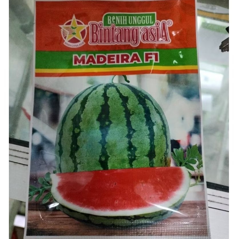 Benih Semangka Bintang Asia Madeira F1