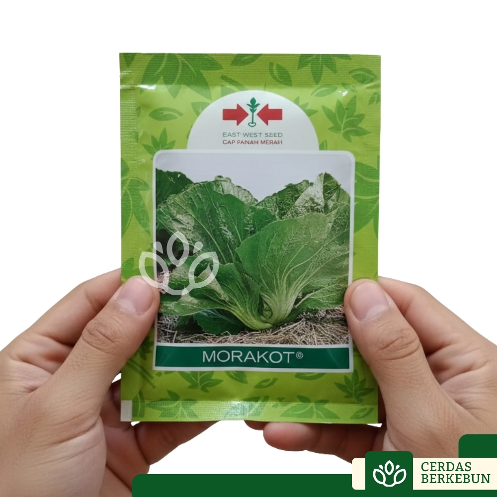 Cap Panah Merah Morakot Benih Unggul Sawi Pahit Hijau