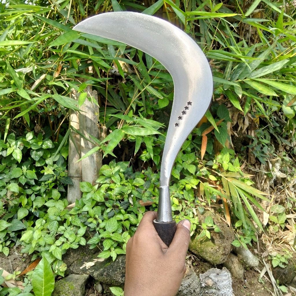 sabit rumput bintang 5 original asli madura