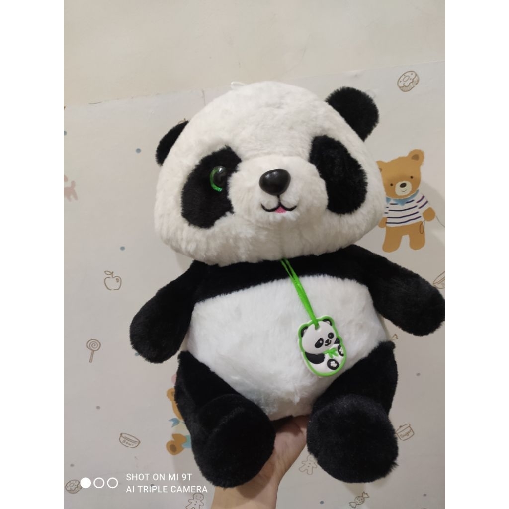 boneka panda timezone