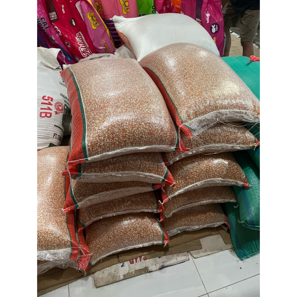 JAGUNG KECIL KEMASAN 25kg pakan burung dan ayam