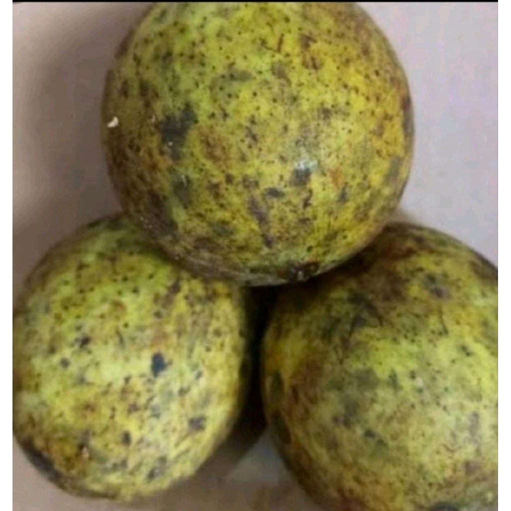 buah pakel segar 1kg